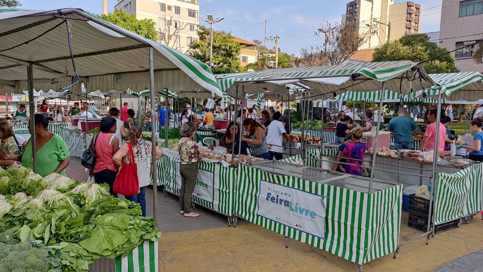 Feira Livre de quarta-feira é transferida para dentro da Praça Cesário Alvim